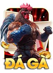 đá gà 68win